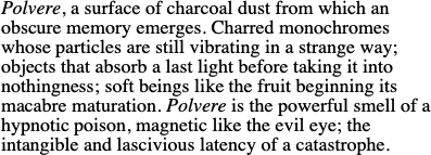 Polvere, a surface of charcoal