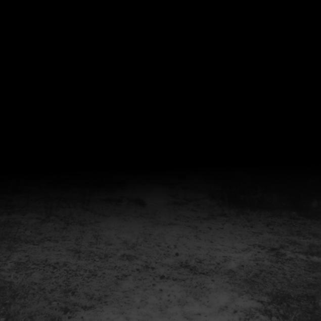 polveregrapevienTXimage0452017bcopie