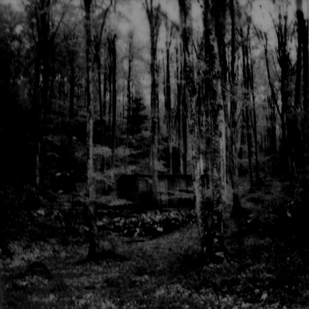 polverepizzoc06img864copie